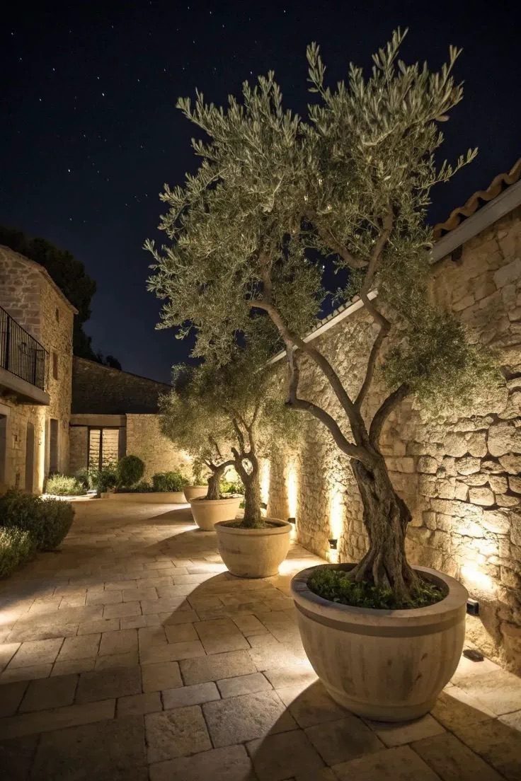 Terrasse extérieure sous pergola